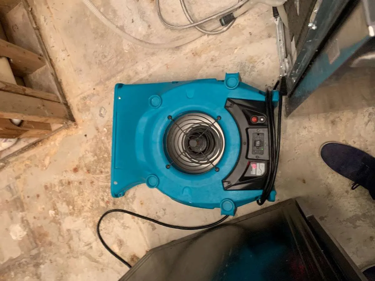 Air mover drying equipment for Mold Remediation & Removal in Sunnyvale
